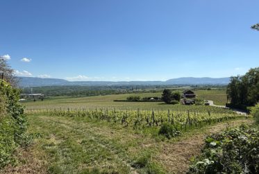 Maison de village à louer à Satigny – Calme, verdure et cadre de vie convivial