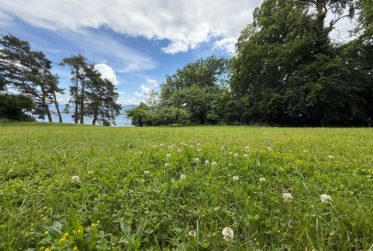 Propriété Rive Droite avec Accès Direct au Lac Léman – Opportunité Rare