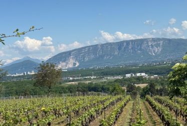 Maison de village à louer à Satigny – Calme, verdure et cadre de vie convivial