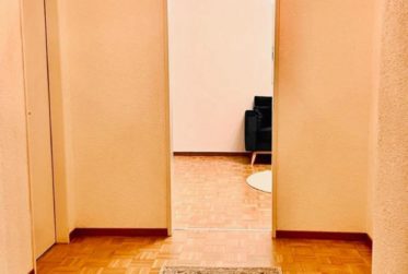 Spacieux appartement de 2 chambres entièrement meublé à Petit-Saconnex