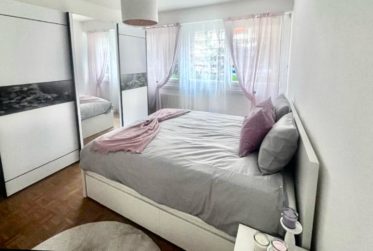 Spacieux appartement de 2 chambres entièrement meublé à Petit-Saconnex