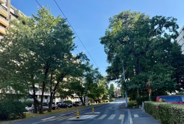 Spacieux appartement de 2 chambres entièrement meublé à Petit-Saconnex