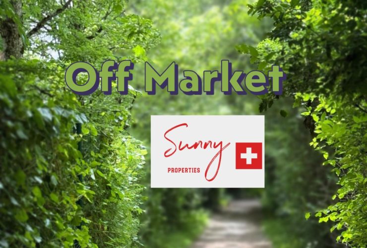 Villa artistique avec vue panoramique sur le Mont-Blanc - Harmonie entre nature, confort moderne et sérénité