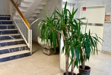 Appartement rénové de 4 chambres à Petit-Saconnex – Proche des organisations internationales