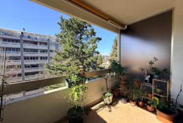 Bel appartement 4 pièces au cœur de champel