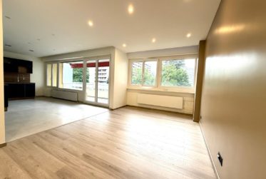 Appartement rénové de 4 chambres à Petit-Saconnex – Proche des organisations internationales