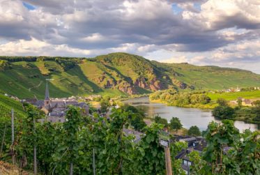 Un domaine d'exception. Une exploitation hôtelière établie.