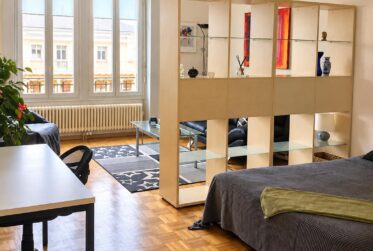 Charmant appartement meublé de 2,5 pièces